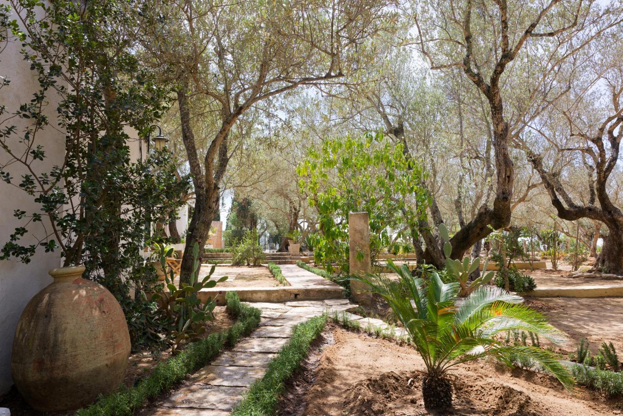 Si Brahim Studio Piscine, Sidi Bou Ali エクステリア 写真